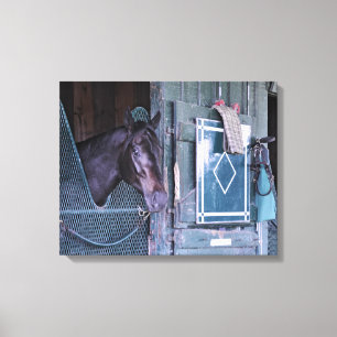 Stacked Deck Canvas Print