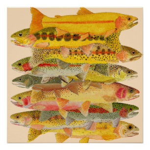 Stacked Deck- Trout Poster
