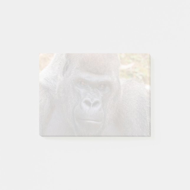 Stadi at Zoo Atlanta (2023) Post-it Notes (Front)