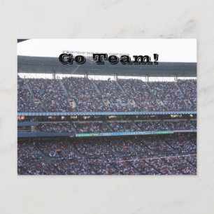 Stadium Crowd  Postcard