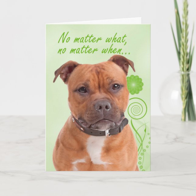 Staffie Love and Support Card (Front)
