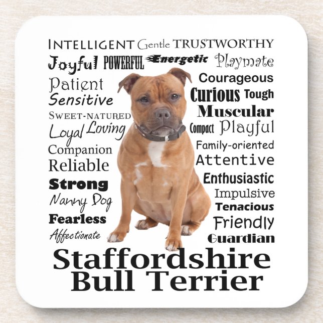 Staffie Traits Coaster Set (Front)