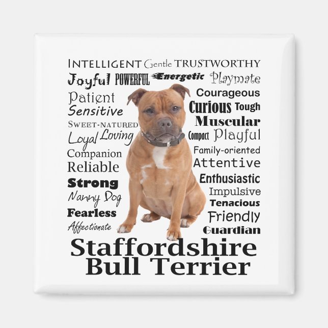 Staffie Traits Magnet (Front)