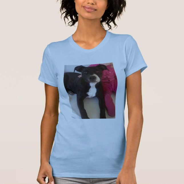 STAFFIES AREN'T DANGEROUS T-Shirt (Front)