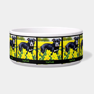 Staffodil - Staffy in the Daffodils