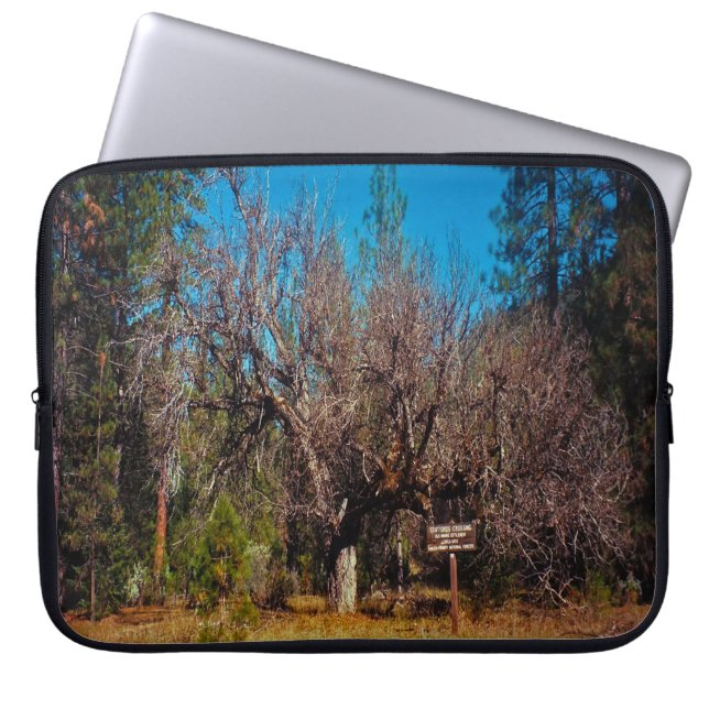 Stafford Crossing...... Laptop Sleeve (Front)