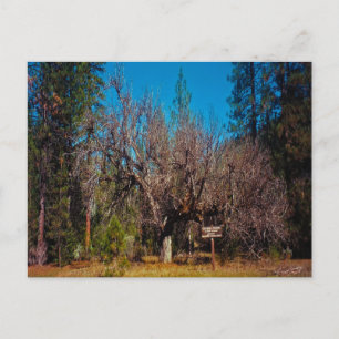 Stafford Crossing..... Postcard