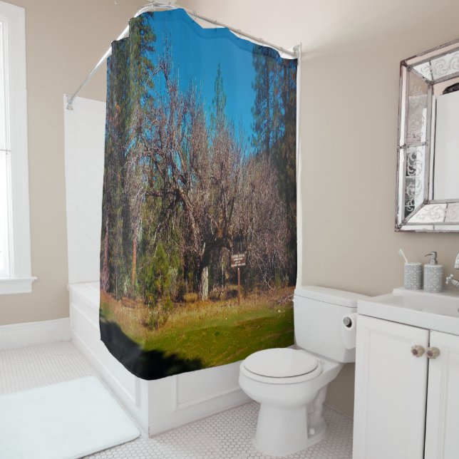 Stafford Crossing....... Shower Curtain (In Situ)