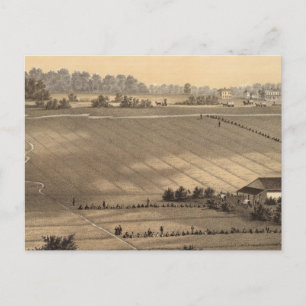 Stafford Forge Cranberry Plantation, West Creek Postcard