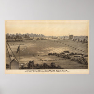 Stafford Forge Cranberry Plantation, West Creek Poster