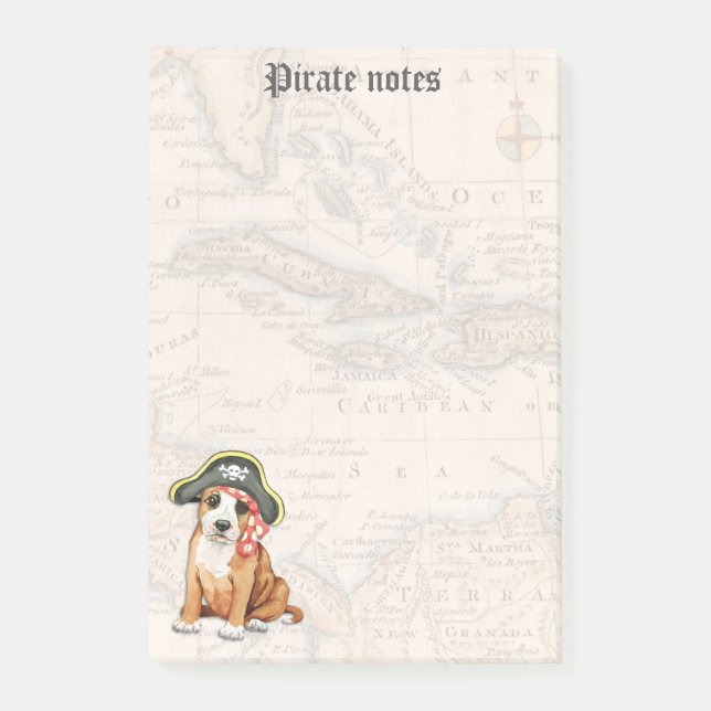 Stafford Pirate Post-it Notes (Front)