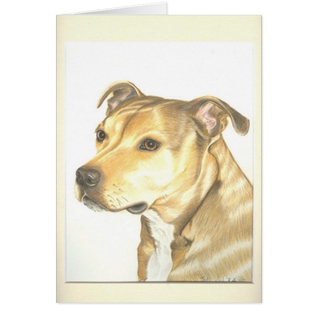 Staffordshire Bull Terrier (Front)