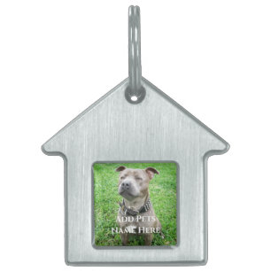 Staffordshire Bull Terrier At Attention, Pet ID Tag