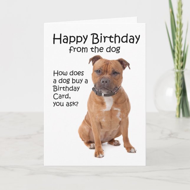 Staffordshire Bull Terrier Birthday Card (Front)