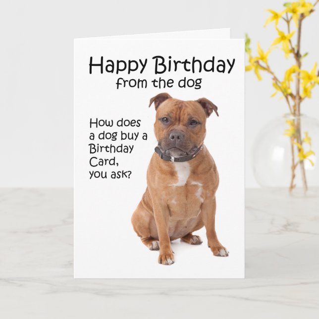 Staffy Staffordshire Terrier Dog Puppy Blank Birthday Mothers Fathers Day Card - View #2