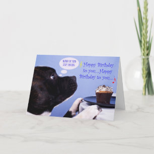 Staffordshire bull terrier birthday card