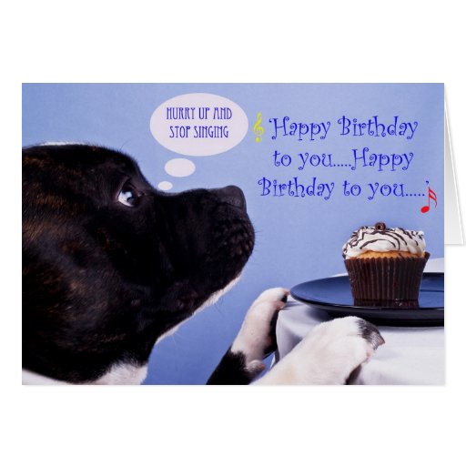 x staffy american english birthday Zazzle Staffordshire  terrier card  bull