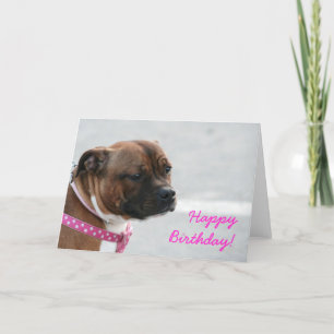 staffordshire bull terrier Birthday greeting card