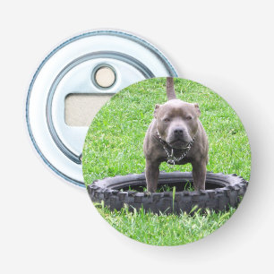 Staffordshire Bull Terrier Bottle Opener. Opener