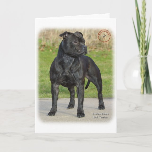 Staffordshire Bull Terrier Card (Front)
