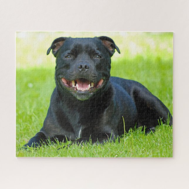 Staffordshire Bull Terrier Dog. Jigsaw Puzzle (Horizontal)