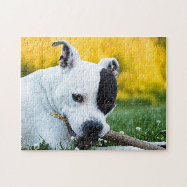 Staffordshire Bull Terrier Dog Jigsaw Puzzle (Horizontal)