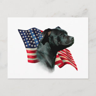 Staffordshire Bull Terrier Flag Postcard