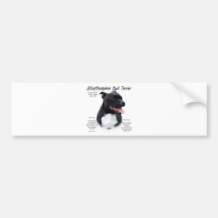 Staffordshire Bull Terrier History Design Bumper Sticker