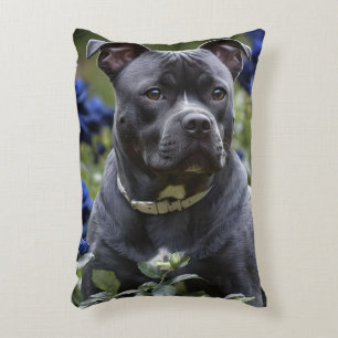Staffordshire Bull Terrier In Blue Rose Garden, Decorative Cushion
