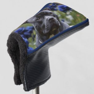 Staffordshire Bull Terrier In Blue Rose Garden,  Golf Head Cover