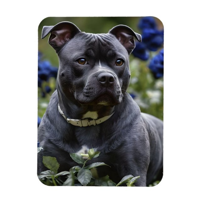 Staffordshire Bull Terrier In Blue Rose Garden, Magnet (Vertical)