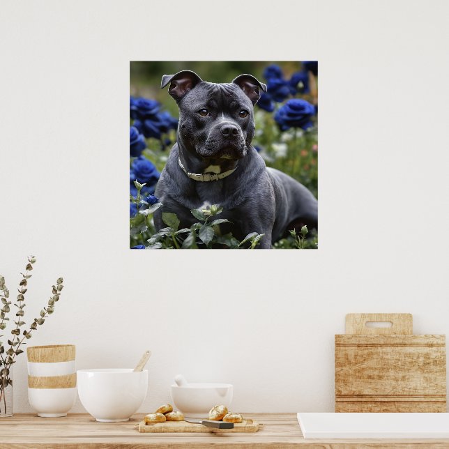 Staffordshire Bull Terrier In Blue Rose Garden, Poster (Kitchen)