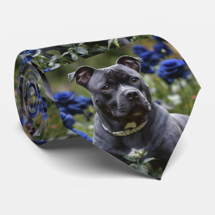 Staffordshire Bull Terrier In Blue Rose Garden, Tie