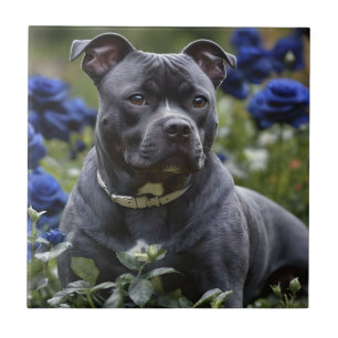 Staffordshire Bull Terrier In Blue Rose Garden, Tile