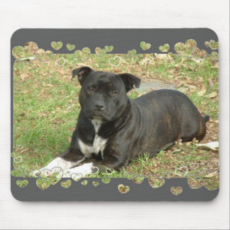 Staffordshire Bull Terrier mouse pad