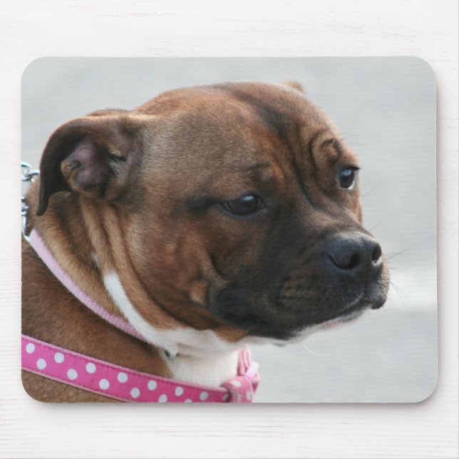 Staffordshire bull terrier mousepad (Front)