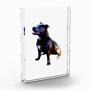 Staffordshire Bull Terrier Oil Paint, Photo Block