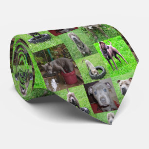Staffordshire Bull Terrier Photo Collage, Tie