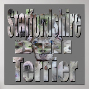 Staffordshire Bull Terrier Picture Logo, Poster