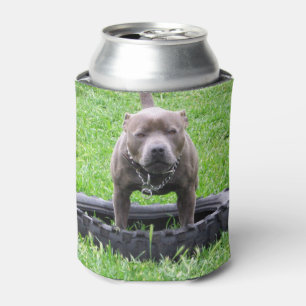 Staffordshire Bull Terrier, Play Time, Can Cooler