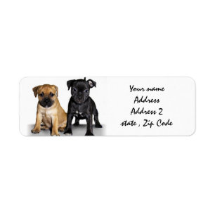 Staffordshire bull terrier puppies address labels
