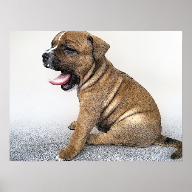Staffordshire Bull Terrier Puppy, Art Print (Front)