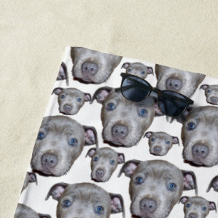 Staffordshire Bull Terrier Puppy Faces, Beach Towel