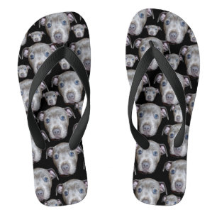 Staffordshire Bull Terrier Puppy Faces, Flip Flops