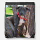 Staffordshire Bull Terrier puppy in a tree Drawstring Bag (Front)