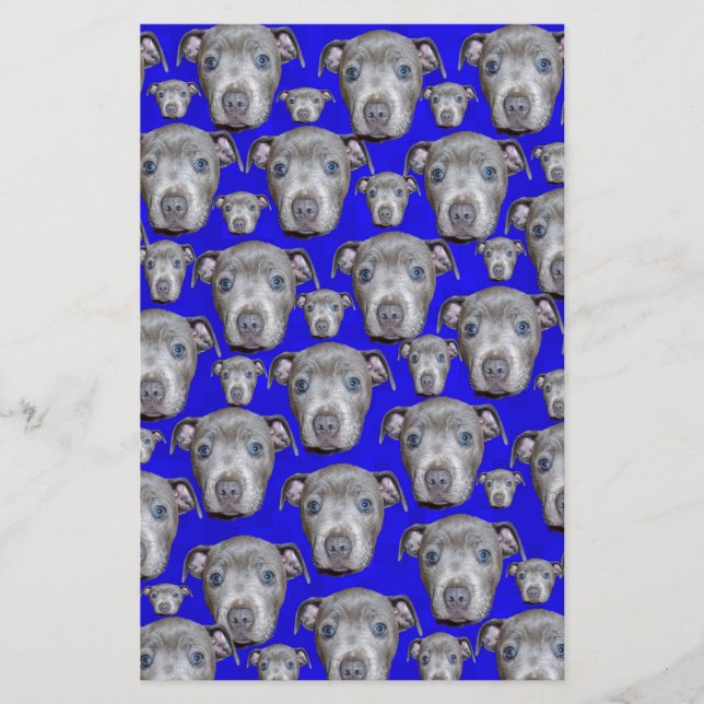 Staffordshire Bull Terrier Puppy Pattern, (Front)