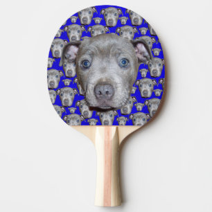 Staffordshire Bull Terrier Puppy, Ping Pong Paddle