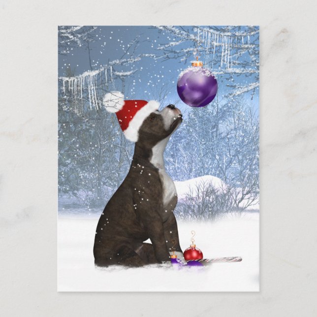Staffordshire Bull Terrier Puppy - Postcard Winter (Front)