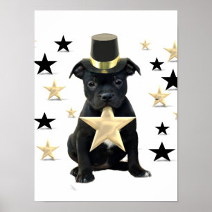 Staffordshire bull terrier puppy poster