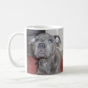 Staffordshire Bull Terrier Puppy Sooky Face, Coffee Mug